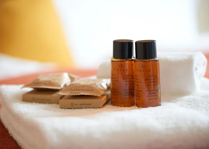 Kitz Boutique & Restaurant Metzingen (Tubingen)